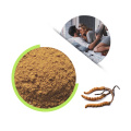 Cordyceps Sinensis Extract Powder CS-4